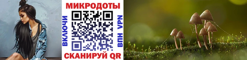 Купить где  Кораблино  Галлюциногенные грибы мухоморы 